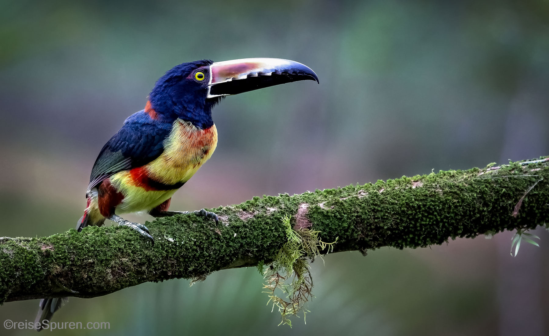 Costa Rica