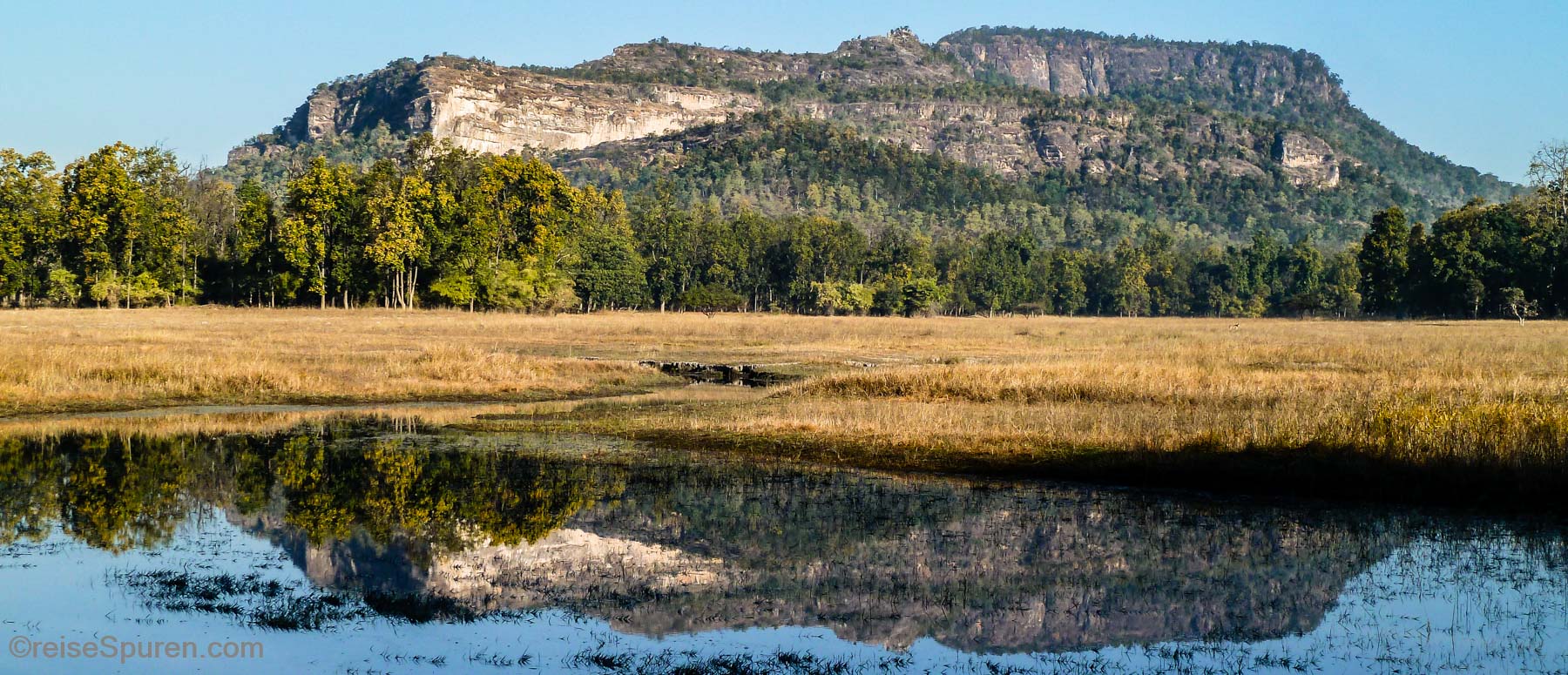 Bandhavgarh National Park