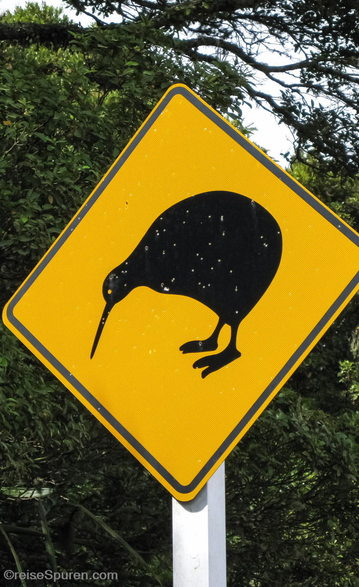 Es gibt sie wirklich - allerdings nur selten!