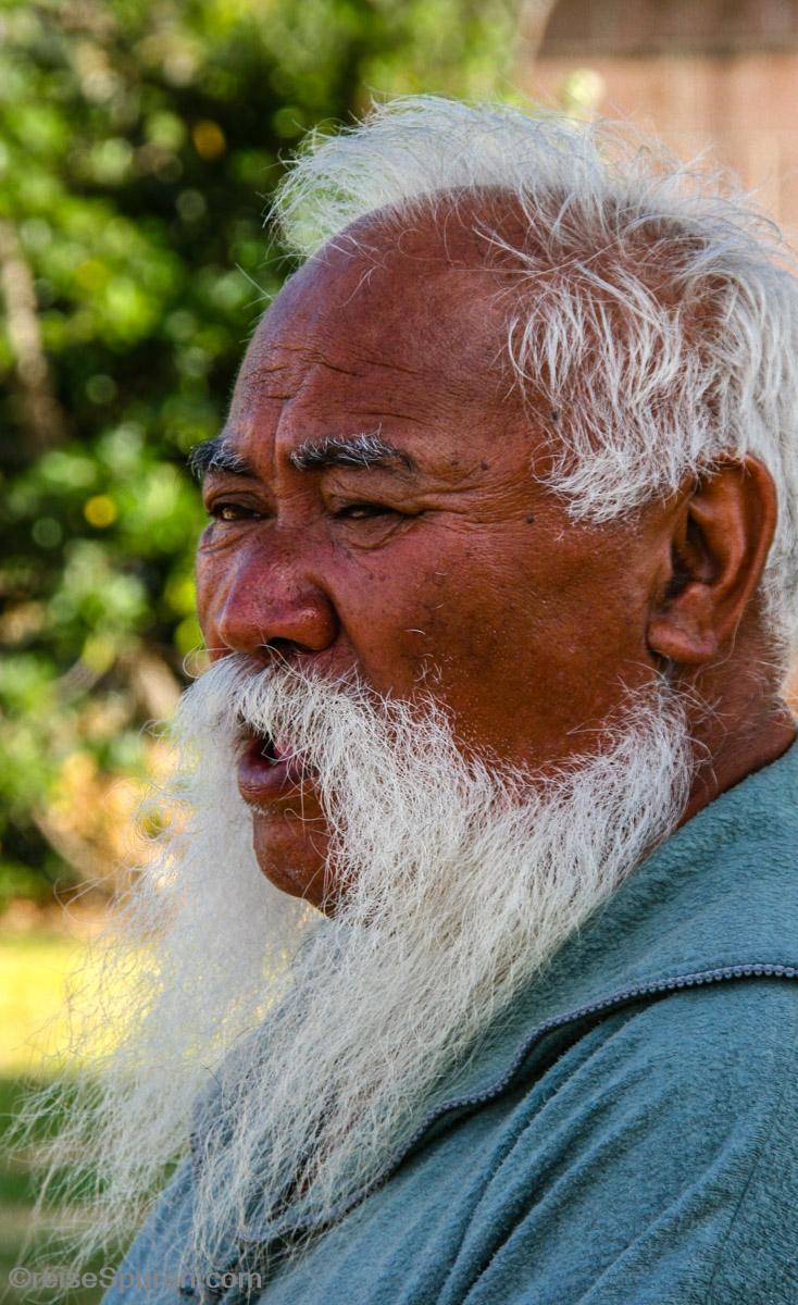 Ein prachtvoller Bart