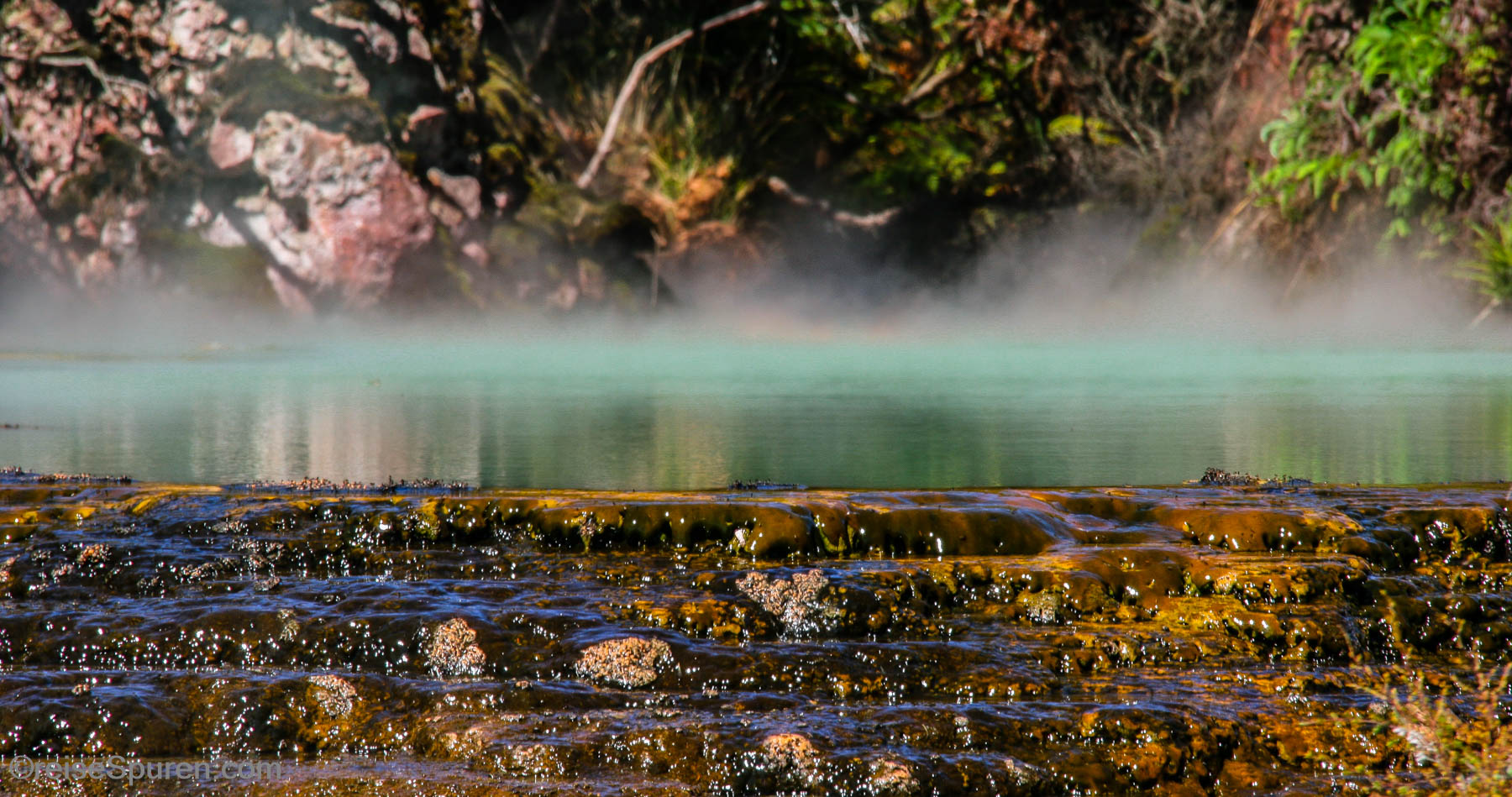 Waimangu Volcanic Valley