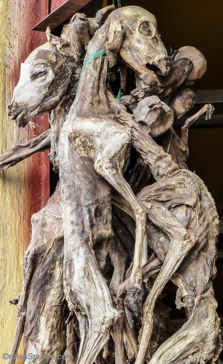 Wie dies wohl schmeckt?