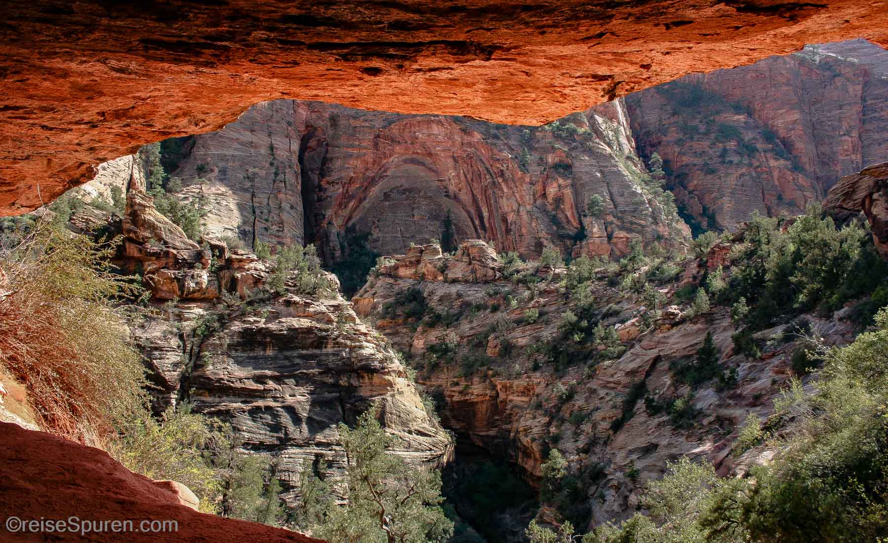 Zion NP
